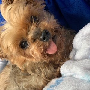 Meet your Posher, Miranda